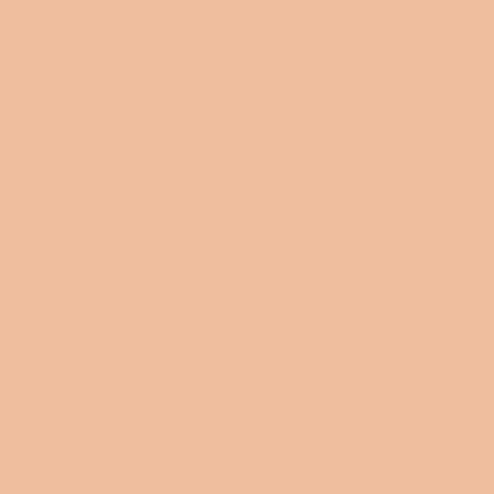 Dior Forever nude Matte Filter 9 g. / Net Wt. 0.31 oz. (02 Light)