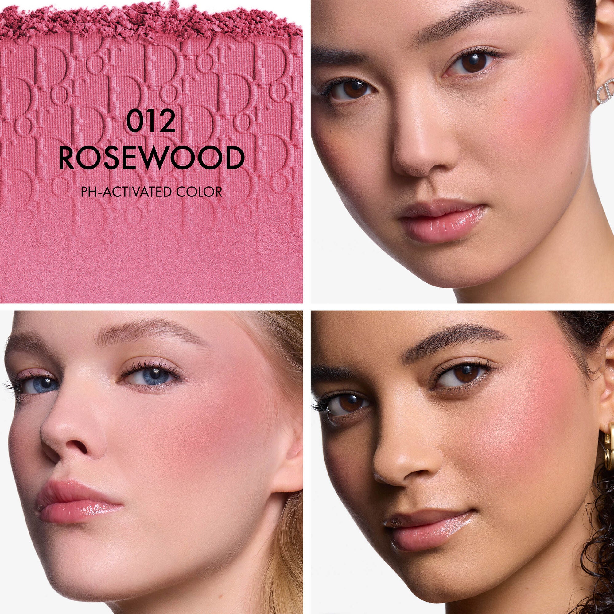 Dior Backstage Rosy Glow Net. wt. 0.15 oz. (012 Rosewood)