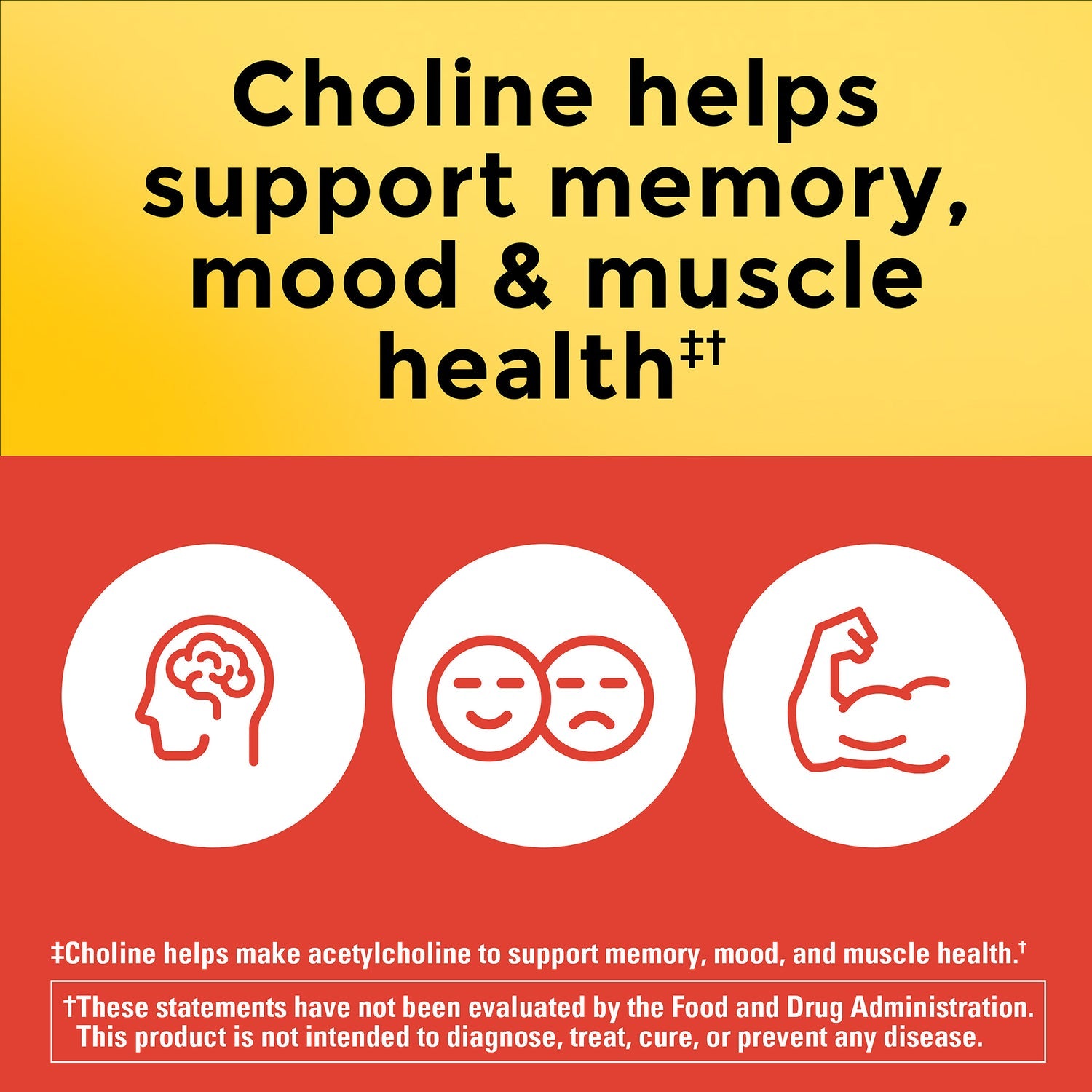 Nature Made Choline 800 mg (60 Capsulas)